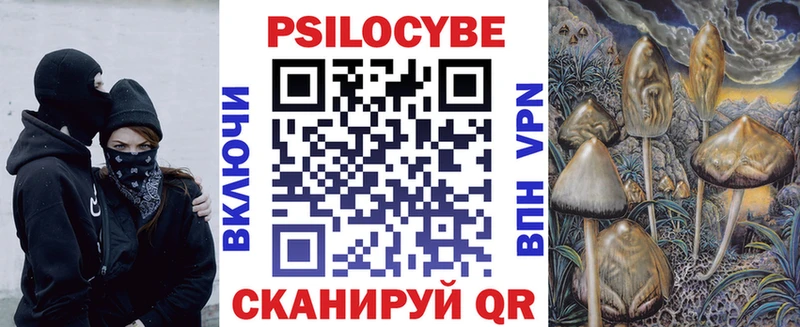 Галлюциногенные грибы Psilocybe  Купить где  Кириллов 